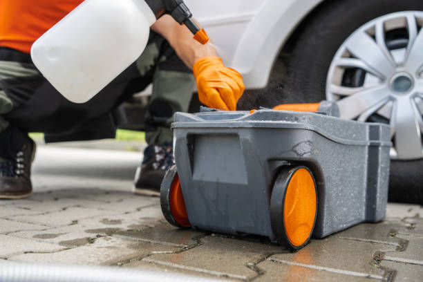 Professional Tree Removal in San Lorenzo, CA